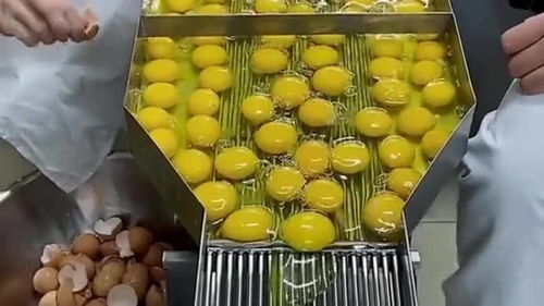 疫情過后的食品加工廠,做美食不用機器都不行,機器代替了人工