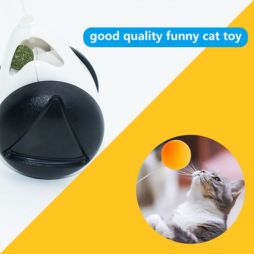 長沙亞馬遜圖片產品拍照寵物用品圖片設計制作外貿電商