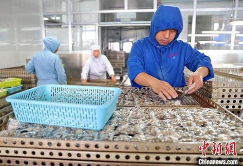 河北秦皇島 海產品出口與保齡球運動的共贏發展